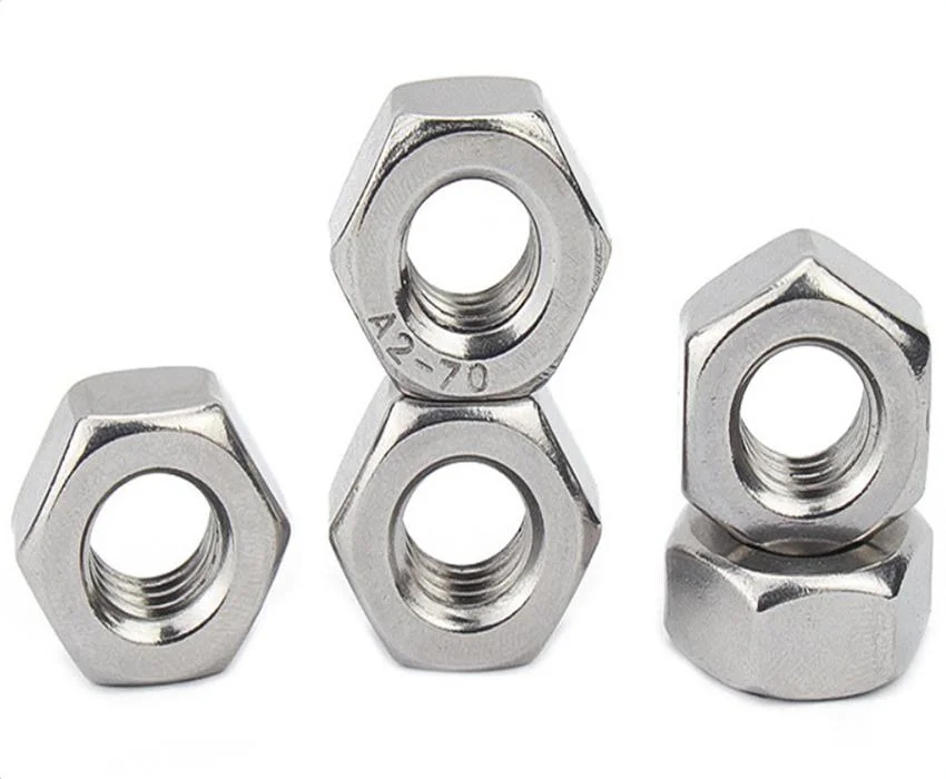 Stainless Steel Lock/Nylon Nut 304 Nut